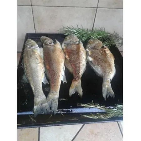 Mile Ferienhaus-excellent Location Close To Rab Hébergement de vacances