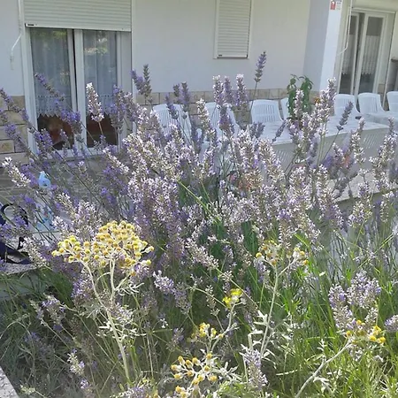 Mile Ferienhaus-excellent Location Close To Rab *